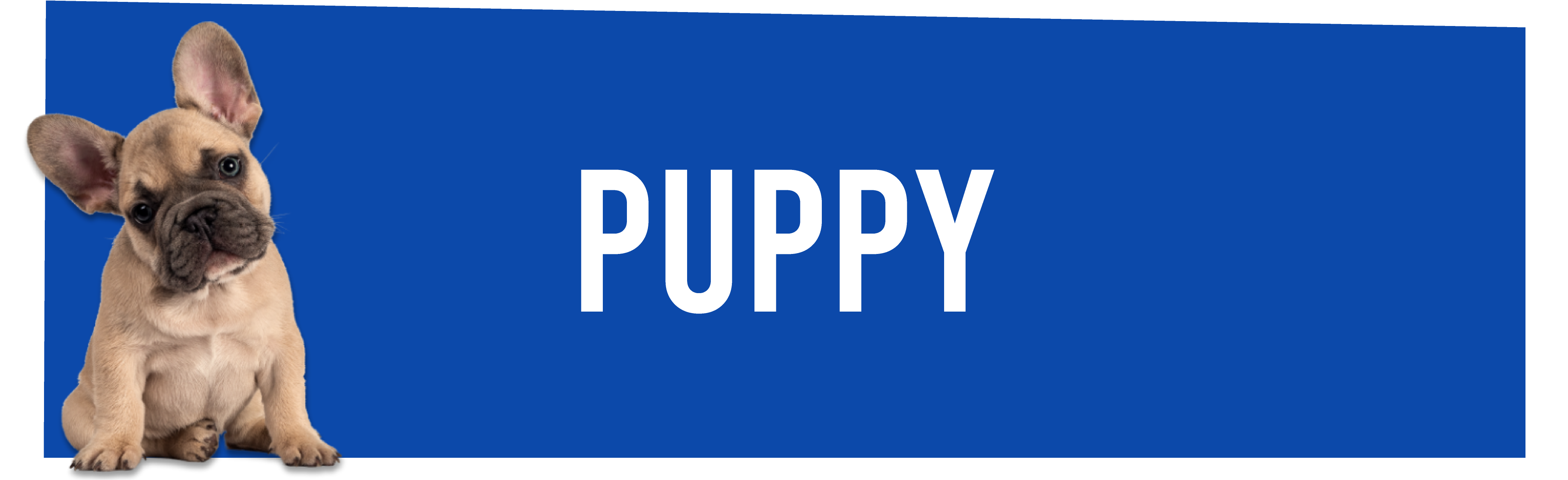 Puppyvoer